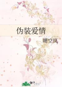 伪装爱情