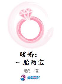 暖婚：一胎两宝